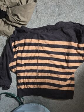 Express Striped Crewneck Sweater in Beige and Black